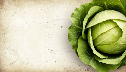 Similar image 22412276