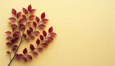 Similar image 22454649