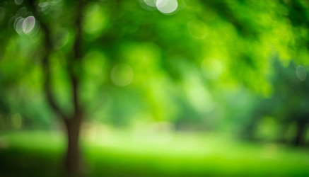 Similar image 22411965