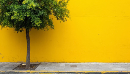 Similar image 22454682