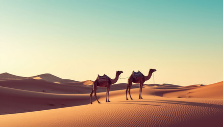 Similar image 22469139