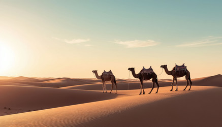 Similar image 22469184