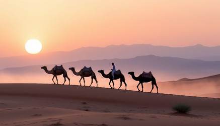 Similar image 22469214