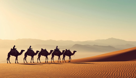 Similar image 22469229