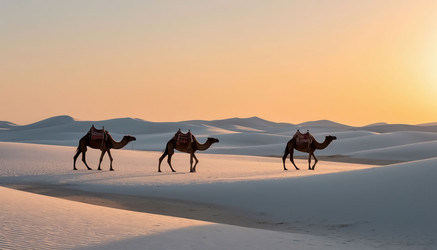 Similar image 22469259