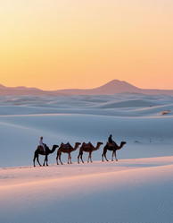 Similar image 22469319