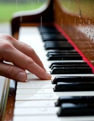 Similar image 22460569