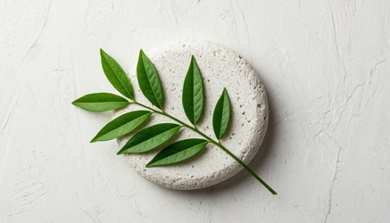 Similar image 22472698