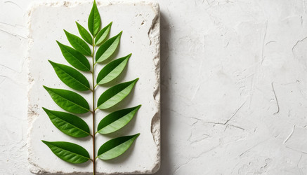 Similar image 22472713