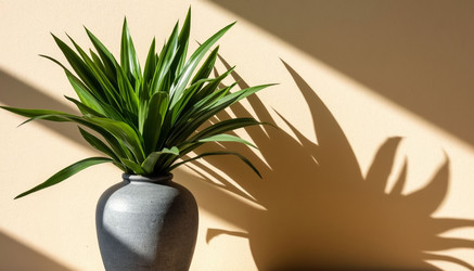 Similar image 22472773