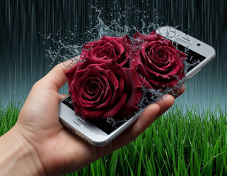 Similar image 22472131