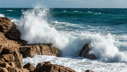 Similar image 22460423