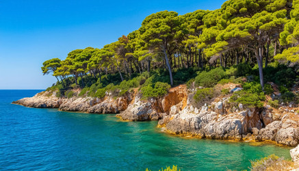 Similar image 22472416