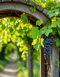 Similar image 22472162