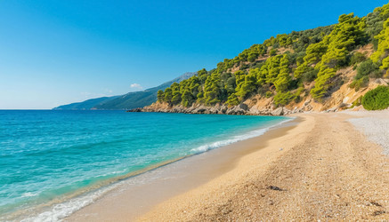 Similar image 22412355