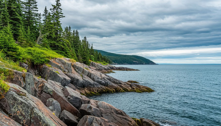 Similar image 22460348