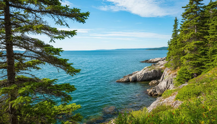 Similar image 22460557