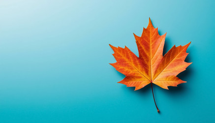 Similar image 22469071