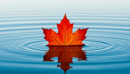 Similar image 22469113