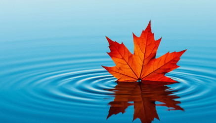 Similar image 22469134