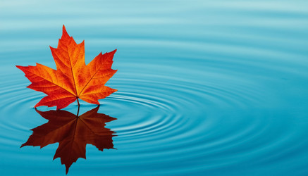 Similar image 22469156