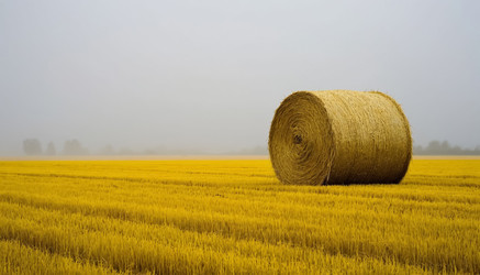 Similar image 22469268