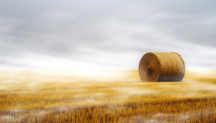 Similar image 22472207