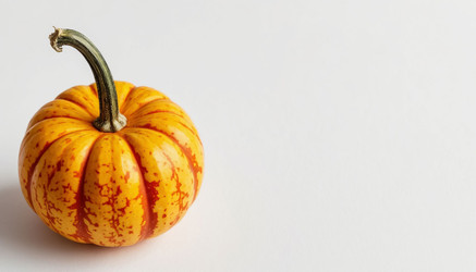 Similar image 22472468