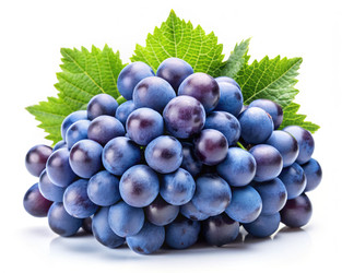 Similar image 22418427