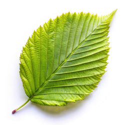 Similar image 22418435