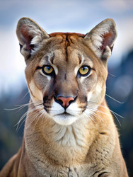 Similar image 22418456