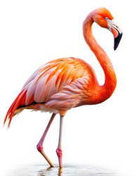 Similar image 22418483