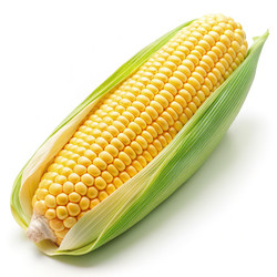 Similar image 22418486