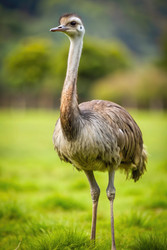 Similar image 22418543