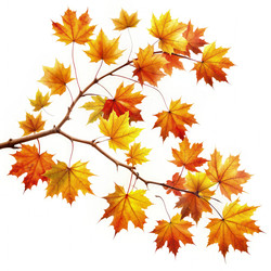 Similar image 22418562