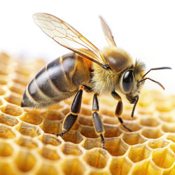 Similar image 22418576