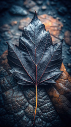 Similar image 22418619