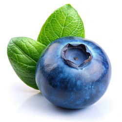 Similar image 22418643