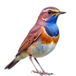 Similar image 22418658