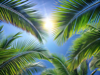 Similar image 22430612