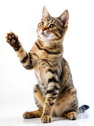 Similar image 22430643