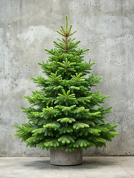 Similar image 22430662