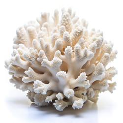 Similar image 22430674