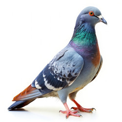 Similar image 22430678