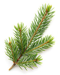 Similar image 22430694