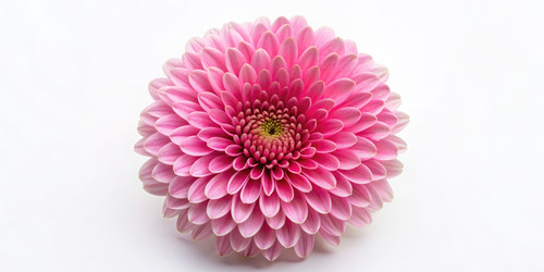 Similar image 22443333