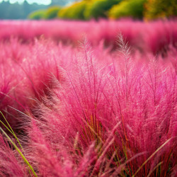 Similar image 22443335