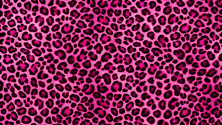 Similar image 22443336