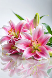 Similar image 22443338