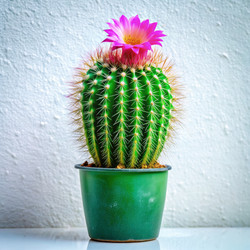 Similar image 22474598